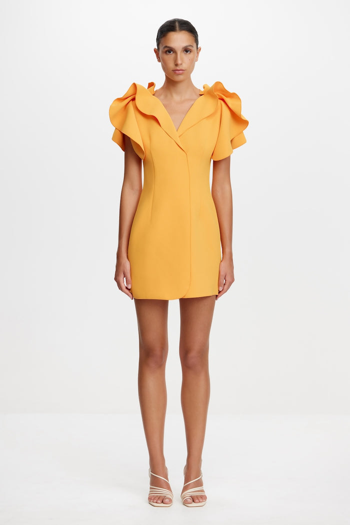 ACLER ONLINE AU NORMANHILL MINI DRESS