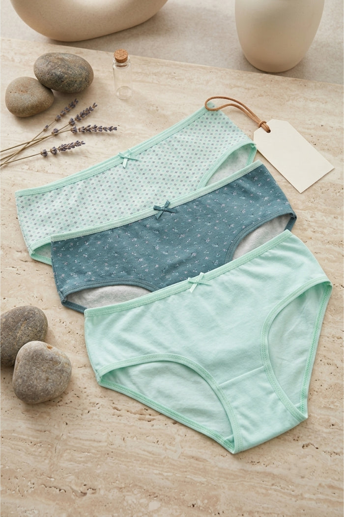 Pack of 3 Colored Brief Panties