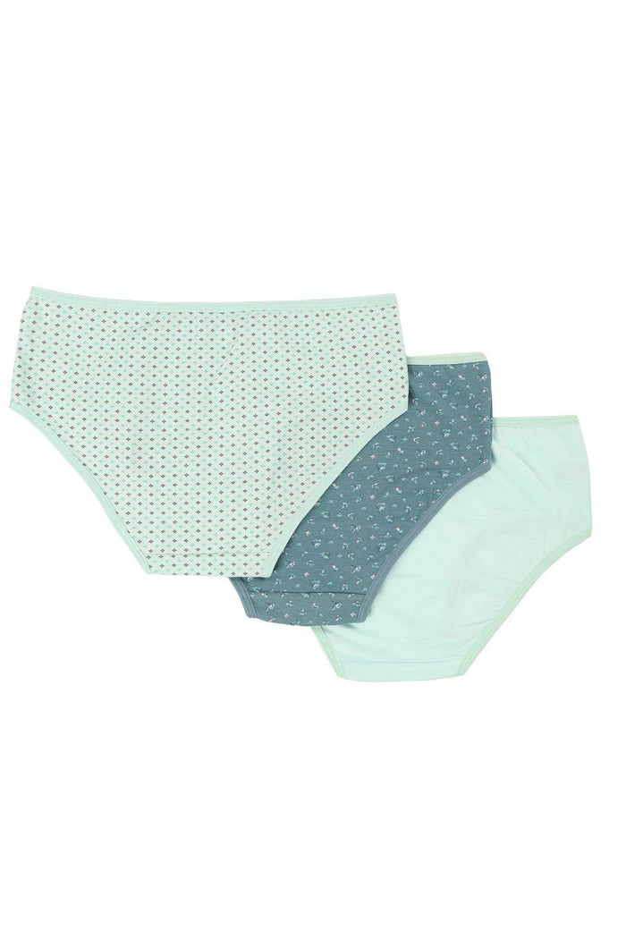 Pack of 3 Colored Brief Panties - Carina - كارينا