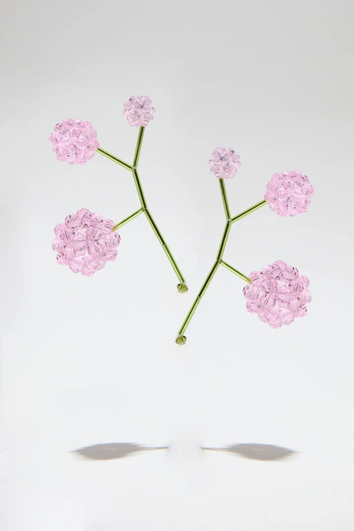 Paeonia Suffruiticosa Pink Sapphire color - PAIR