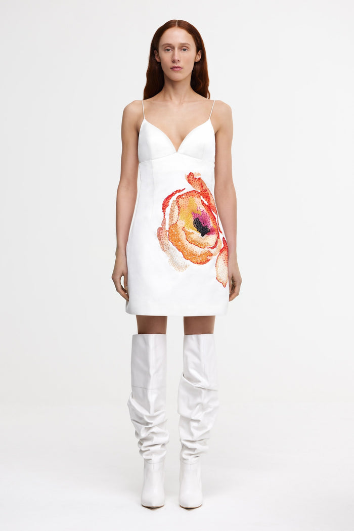 ACLER ONLINE AU PENDOYLAN MINI DRESS
