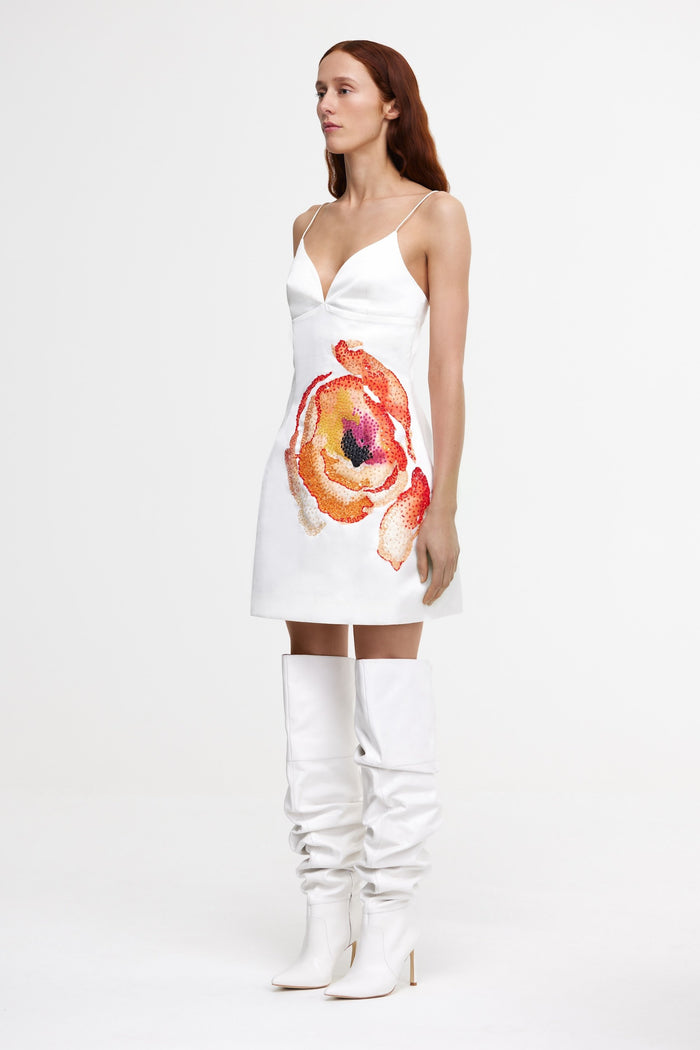 ACLER ONLINE AU PENDOYLAN MINI DRESS