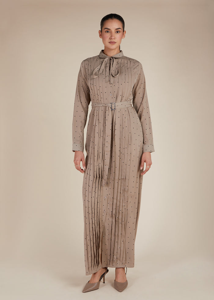 Polka & Pleats Maxi